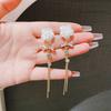 Silver needle white rose flower fringed long earrings temperament round face niche design high-end ear jewelry