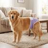 Leak-proof Pet Diapers Breathable Dog Menstrual Pants Pet Supplies Pet Underwear  Dog Heat Season
