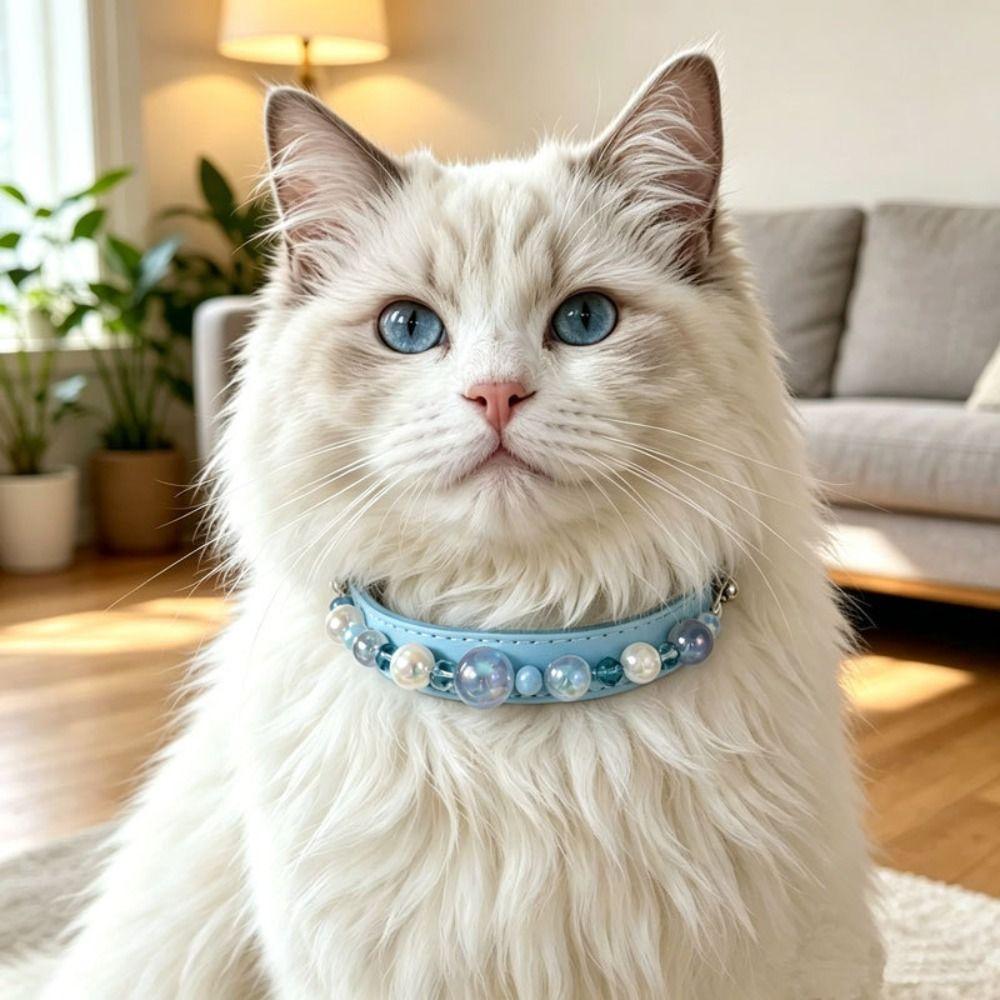 Dream Colored Bead Pet Collar PU Leather Cat Collar Adjustable Adjustable Collar  For Puppy