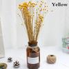 50 Bouquets of Brazilian Lucky Flowers Preserved Flowers Natural Real Small Dried Flowers Bouquets