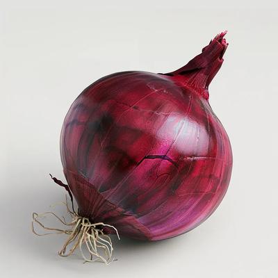 250 semi di cipolla rossa - Permacultura semi-selvatica