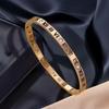 Roman Numeral Titanium Steel Luxury Bracelet with Gold-Plated Buckle for Women - Japanese Korean Design