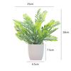 Plastový eukalyptus magnólie v květináči bonsaj pro vnitřní dárkovou dekoraci