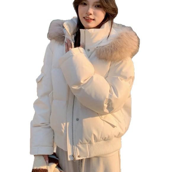 Winter new women's fashion big fur collar down cotton clothes foreign look thin warm cotton coat