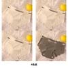 Ice Silk Seamless Women's Underwear