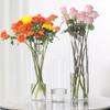 Transparent PET Vase for Water-cultured Flower Arrangements,Living Room Decorations,Hydroponic Containers,Large Flower Bucket