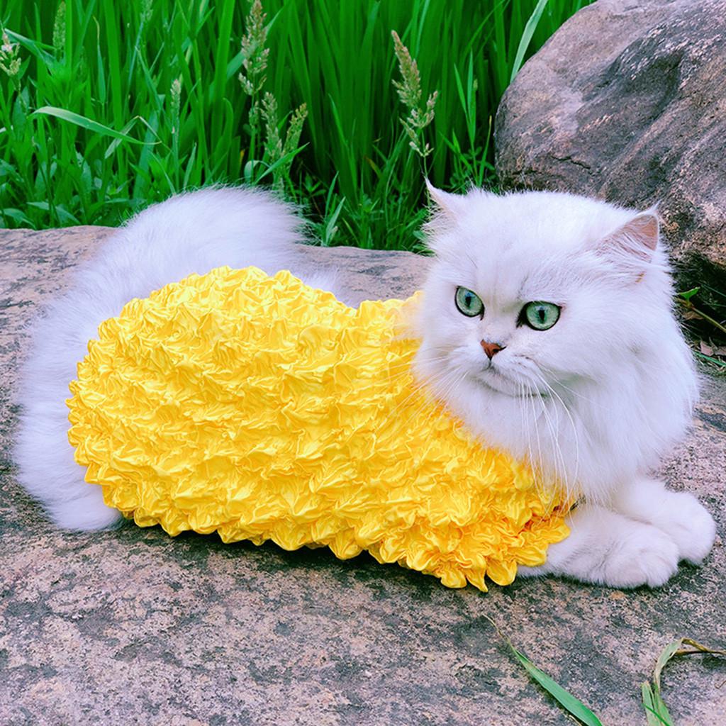 persian cat clothes