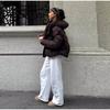 Kapuzen-Daunenjacke Damen Winter 2025 Neue Mode Grau Brotjacke Lässige Kurze Steppjacke