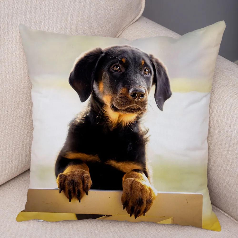 Mini Dackel Hund Kissenbezug Dekor Haustier Tier Kissenbezüge Superweicher Plüsch Kissenbezug für Sofa Zuhause Kinderzimmer 45x45cm
