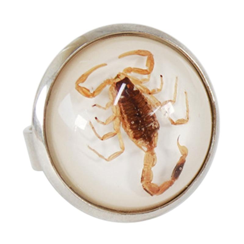 Stylish Round Scorpion Rings Adjsuatble Opening Rings Resin Statement Piece Unique Finger Jewellery Trendy Couple Gift