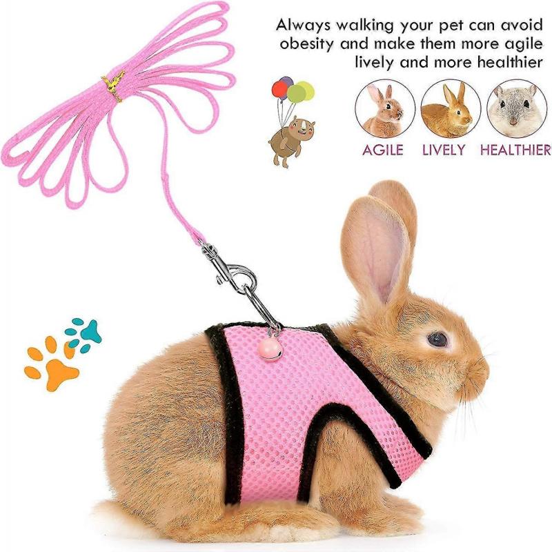2 Pieces Guinea Pig Clothes Baby Ferret Rats Hamster Soft Mesh Harness Leash Vest Set with Bell for