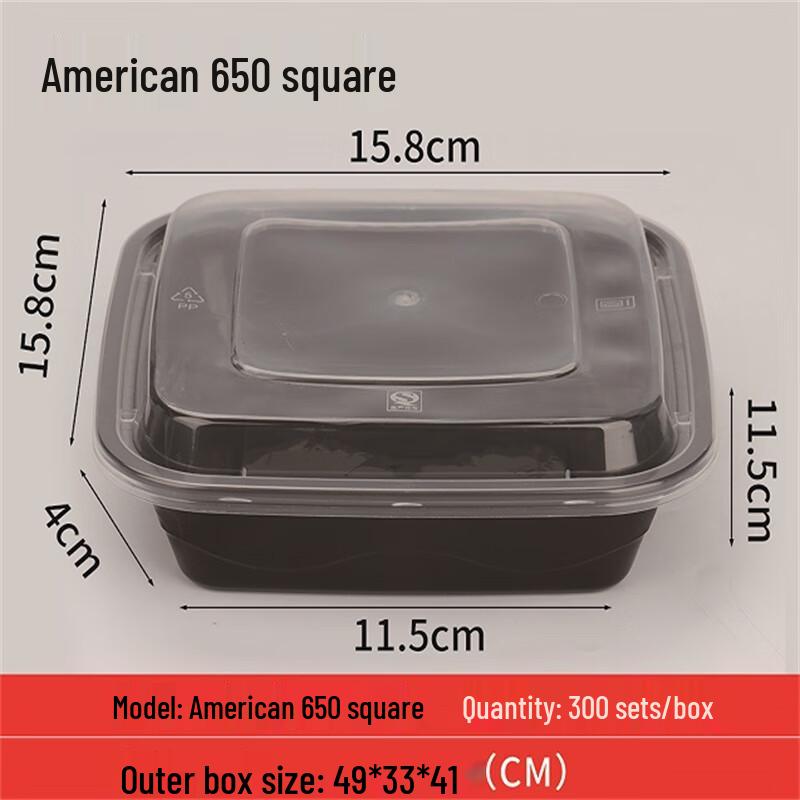 Disposable Square Takeaway Food Containers