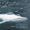 Application for Release from the Dream by Tony Hoagland Paperback Book 9781780372983