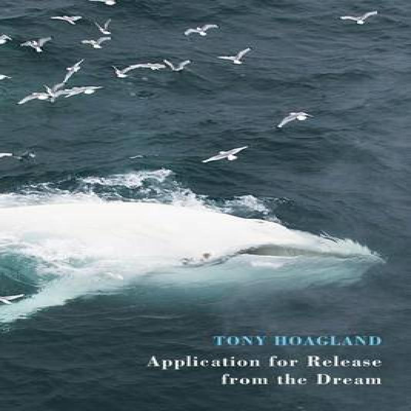 Application for Release from the Dream by Tony Hoagland Paperback Book 9781780372983