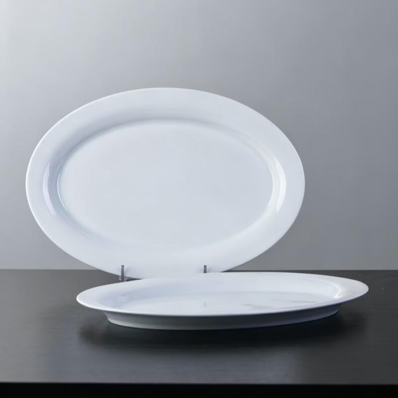 Haoya Premium White Ceramic 12-Inch Fish Plates (Set of 2)