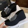 Summers Klobige Damen Hausschuhe Mode Elegant PVC Transparent Plateau Keilabsatz Slides Damen Lässig Outdoor Strand Sandalen