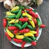 Verdure Finte Artificiali Oggetti di Scena Cucina Hotel Ristorante Negozio Decorazione Peperoncino Rosso Verde Piccante Simulazione 5 pz/lotto