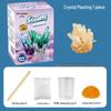 Kids' Crystal Growing Science Kit: DIY Educational Toy for Crafting Crystals