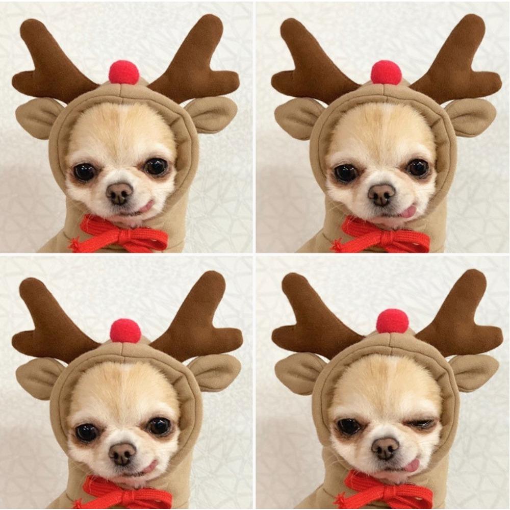 Transformation Dog Cat Small Medium Dog Autumn and Winter Sweater Fleece Dog Clothes Cat Supplies Pet Teddy Fadou Pomeranian