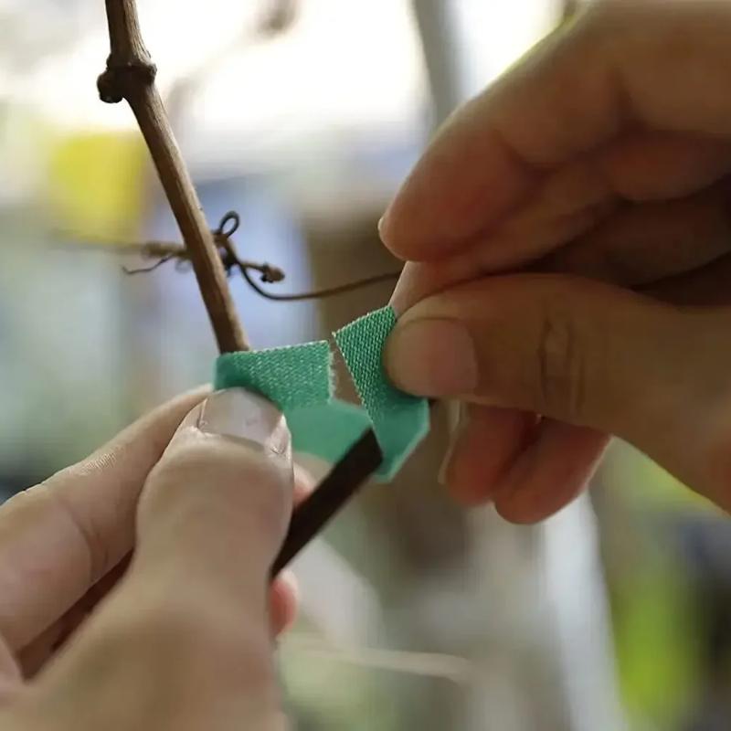 5M/3M Nylon Plantasjebånd Knytebånd Gjenbrukbare Plantekrok Løkkebånd Grønt Festetape Bambusstokk Innpakningsstøtte Hagehjemtilbehør