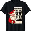 You Should See The Size Of My Sack Funny Santa Christmas T-Shirt