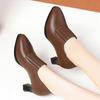 Women's Soft Leather Chunky Heel Slip-On Shoes - Pointed Toe, Elastic Design, Comfortable Work Heels