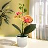 Artificial Artificial Orchid Bonsai Artificial Flower Bonsai  for Home Wedding Decor