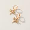 Fashion Dragonfly Earrings for Women 2025 New Golden Zirconia Drop Earring Statement Party Jewelry Accessories