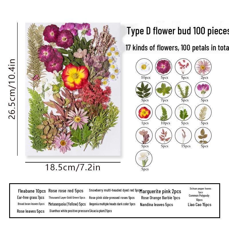 DIY Dried Flower Specimen Sticker Set for Kids: Handmade Pressed Flower Frames & Resin Bookmark Craft Kit