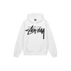 Stussy FW22 Big Stock Logo Unisex 1924843