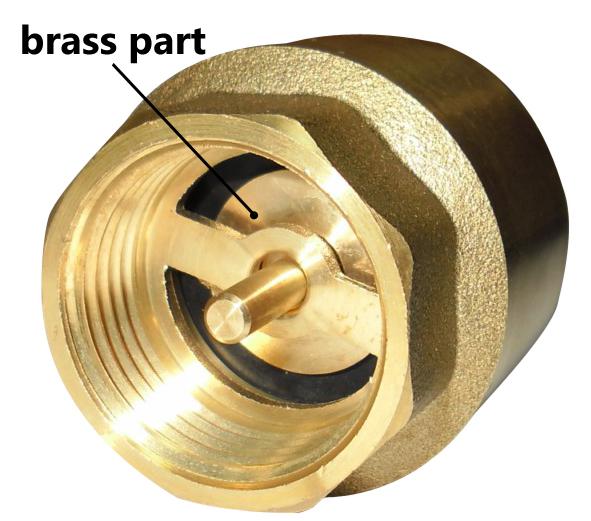 Brass Check Valve 2""