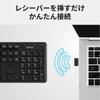 Buffalo Quiet Keyboard Wireless Full Keyboard 109 Keys Japanese Layout Black BSKBW345BK 2.4GHz