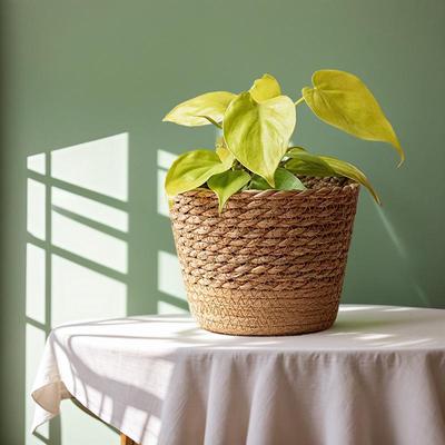 Nordischer Blumentopf aus gewebtem Rattan mit Seetang: Natürliche Wohndeko & Pflanzkorb