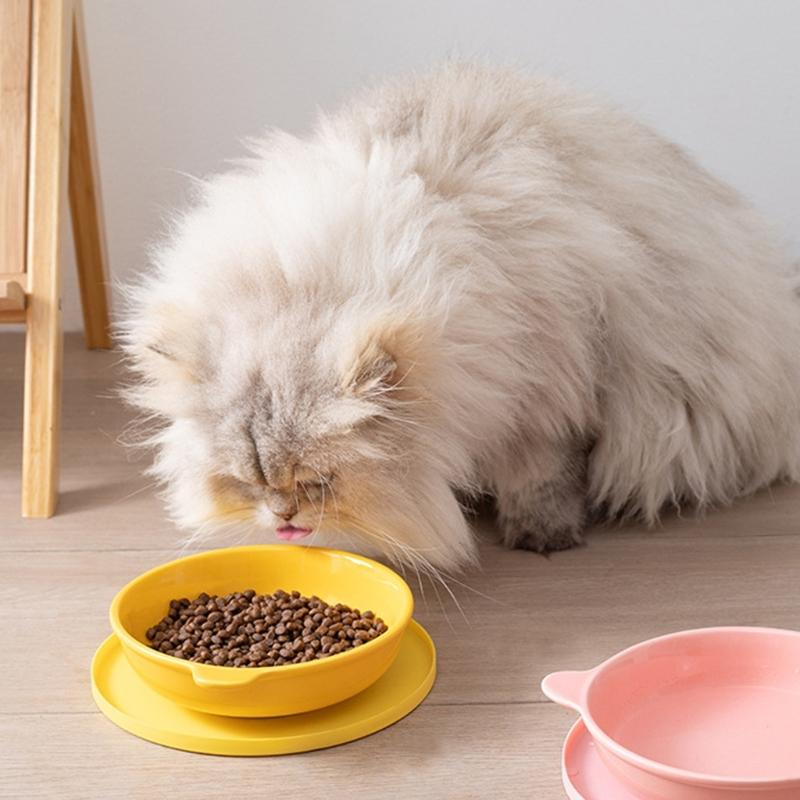 Pet Bowl Placemat For Felines And Dog Slip Resistant Design Simple To Maintain Promotes Better Digestion