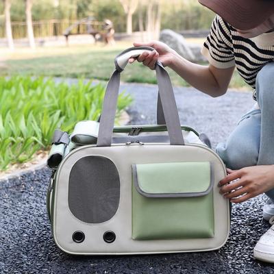Pastel Pet Big Pocket Point Carrying Bag, Green, FREE (45 X ..., 1 Piece, Korean Pet Shampoo