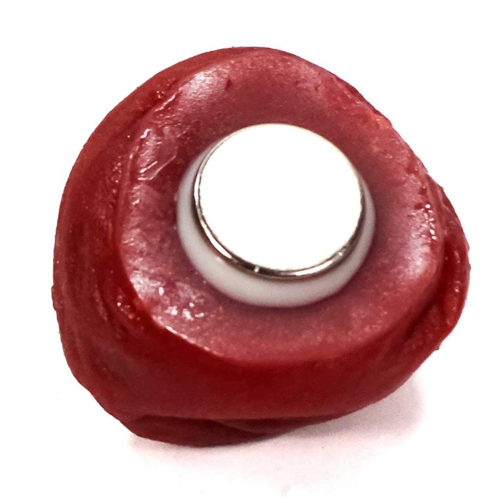 stomach will rumble every time you look at Pickled plum food sample magnet gift 321M Coconut Accessories [Your it] - cute, funny, souvenir,