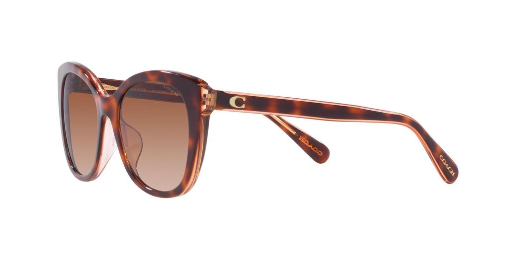 Sunglasses HC8365U CH566 PINK PINK GRADIENT Lens 55 [Coach] TORTOISE/TRANSPARENT Frame/BROWN