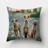 Cuscini decorativi con stampa Pug Dog Federa Fodera per cuscino in poliestere Cuscino decorativo per divano Decorazione del soggiorno Federa