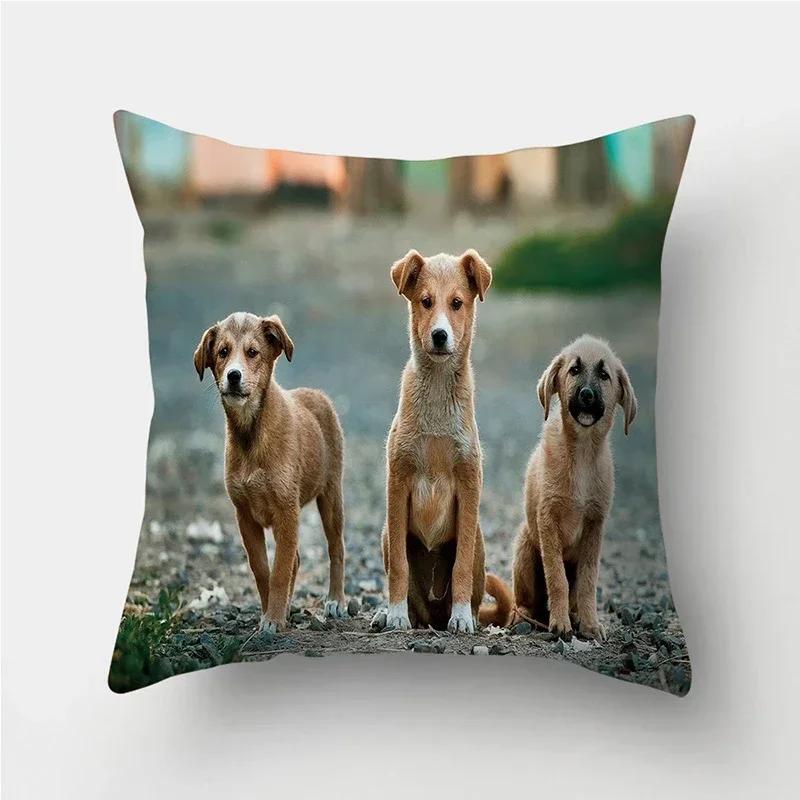 Cuscini decorativi con stampa Pug Dog Federa Fodera per cuscino in poliestere Cuscino decorativo per divano Decorazione del soggiorno Federa