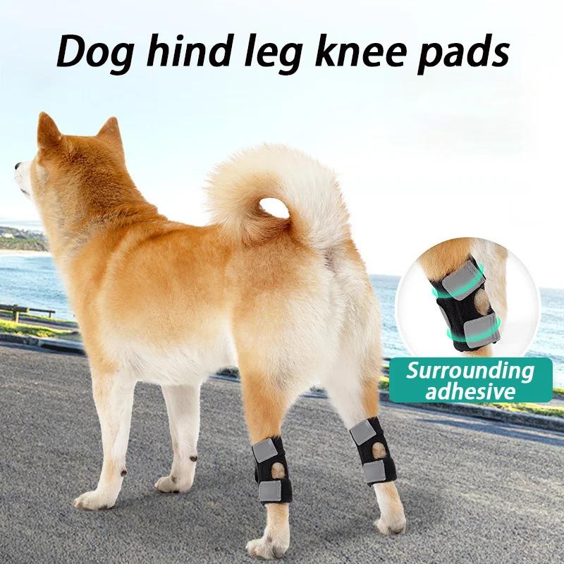 Elderly Dogs Knee Pads Assisted Support Exercise Kneepad Dogs Hind Leg Protection Cover Safety Dog Kneepad Product Leg Guards Recovery Straps Supplies