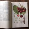 [USED] Foreign books, Czech botanical encyclopedias, vintage books, botanical art