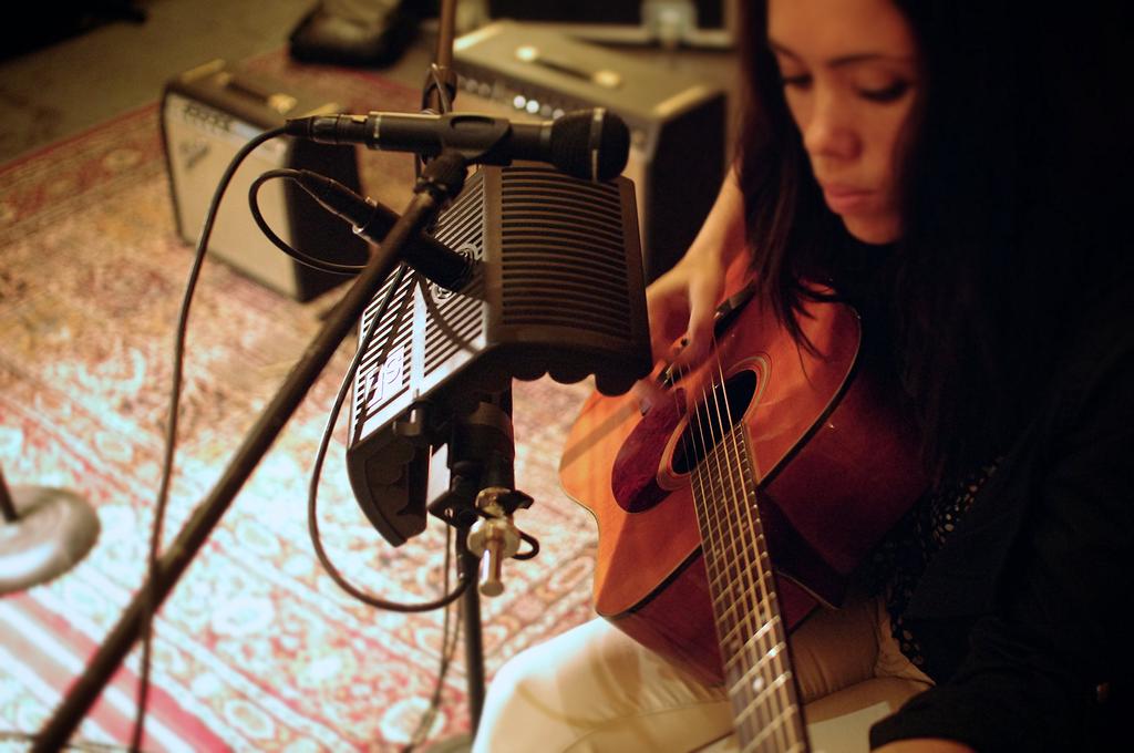sE Electronics guitaRF Acoustic Treatment Device for Musical Instruments []