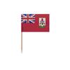 Cure-dents Drapeau Des Bermudes - 10 Cm - 100 Pièces - Plastique Adhésif - Bâton En Bambou -