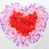 Heart-Shaped Rose Petals for Wedding and Bridal Room Decoration