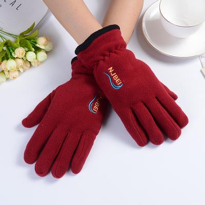 Winter Couple Gloves, Men's Fleece Gloves, Women's Cycling Warm, Hand Gloves, Double-layer, Motorcycle Gloves, Antifreeze