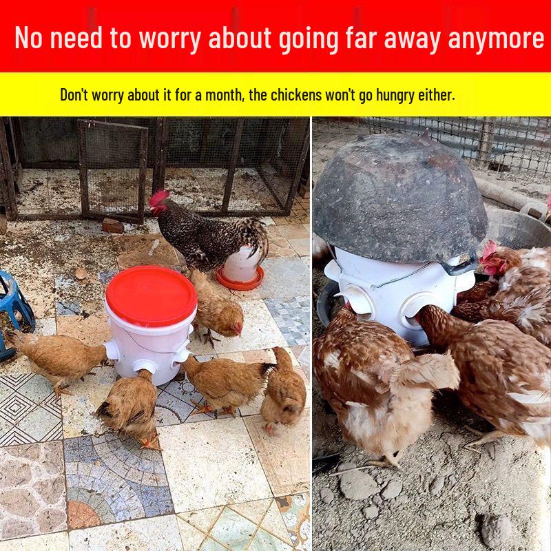 Mangeoire Automatique pour Volailles : Poulets, Canards, Oies et Pigeons
