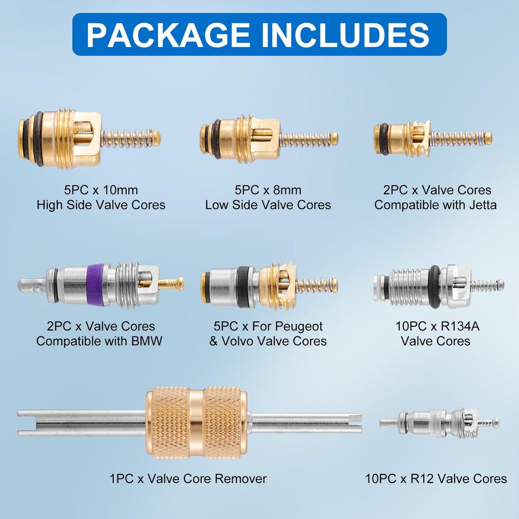 ACTigbear Valve Core Kit, Car Air Conditioner Valve Core, R12