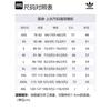 Adidas Originals CLASSIC SPORT Sweater Unisex Wonder White IW6286