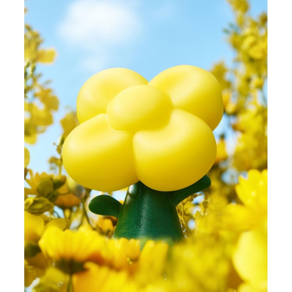 Donggubat [Spezial-Set] All-in-One Parfümöl-Riegel + Kaktus-Riegel Objekt Geschenkset