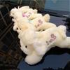 Cute Smile Dog Plush Toy Children's Puppy Dog Doll Machine Doll Car Rear Ornament Decoration